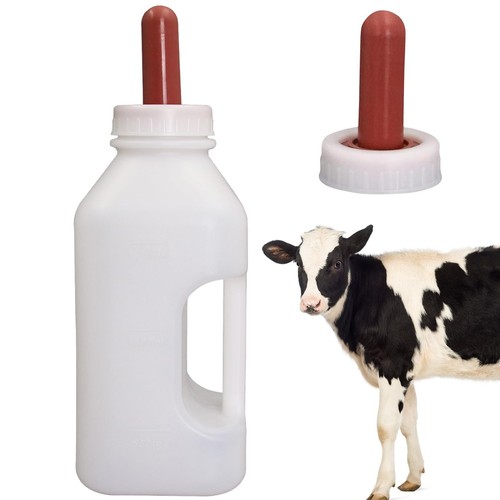 Quart calf nursing feeding - calf,